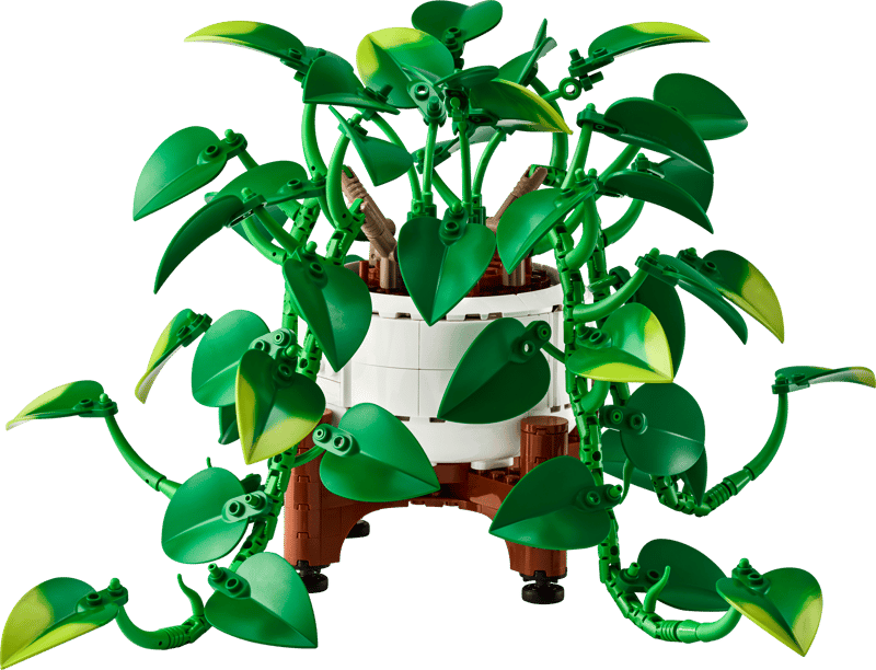 Botanical sets
